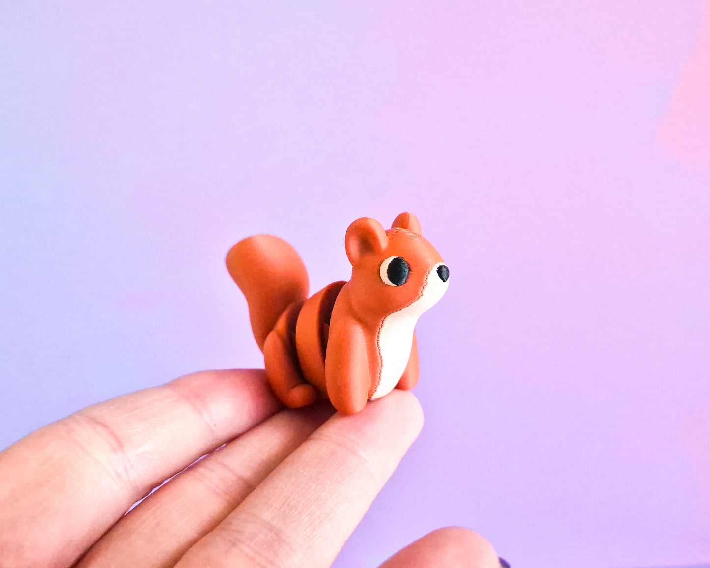 Squirrel
