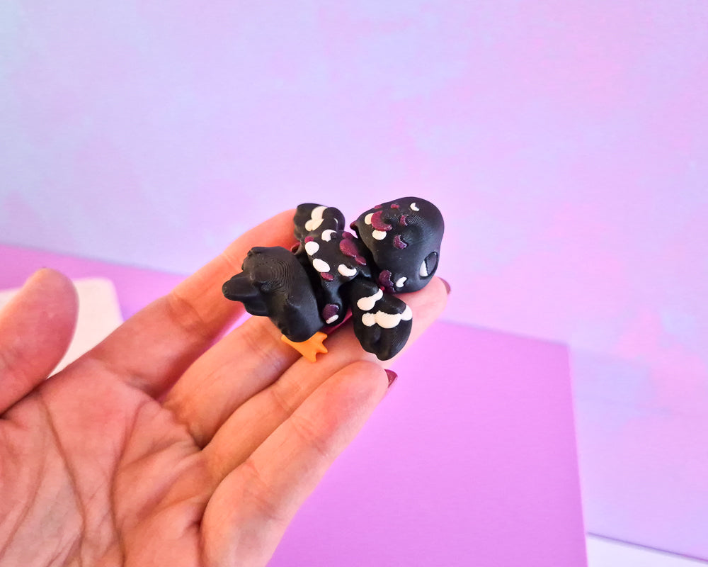 Pigeon [Black]