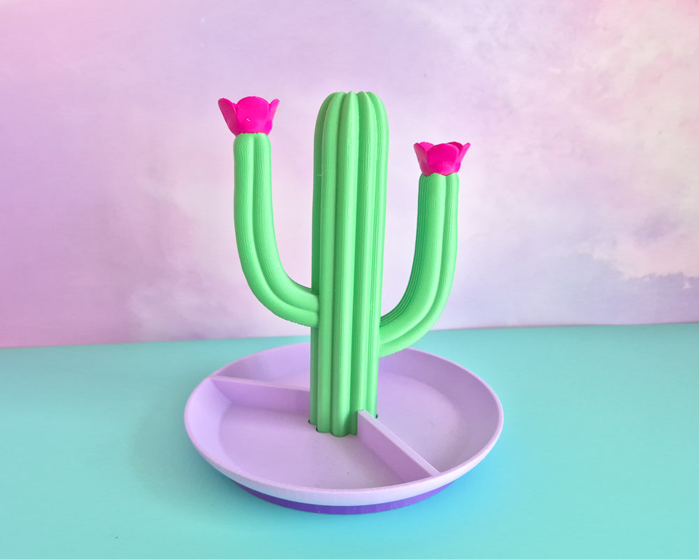 Cactus Dish