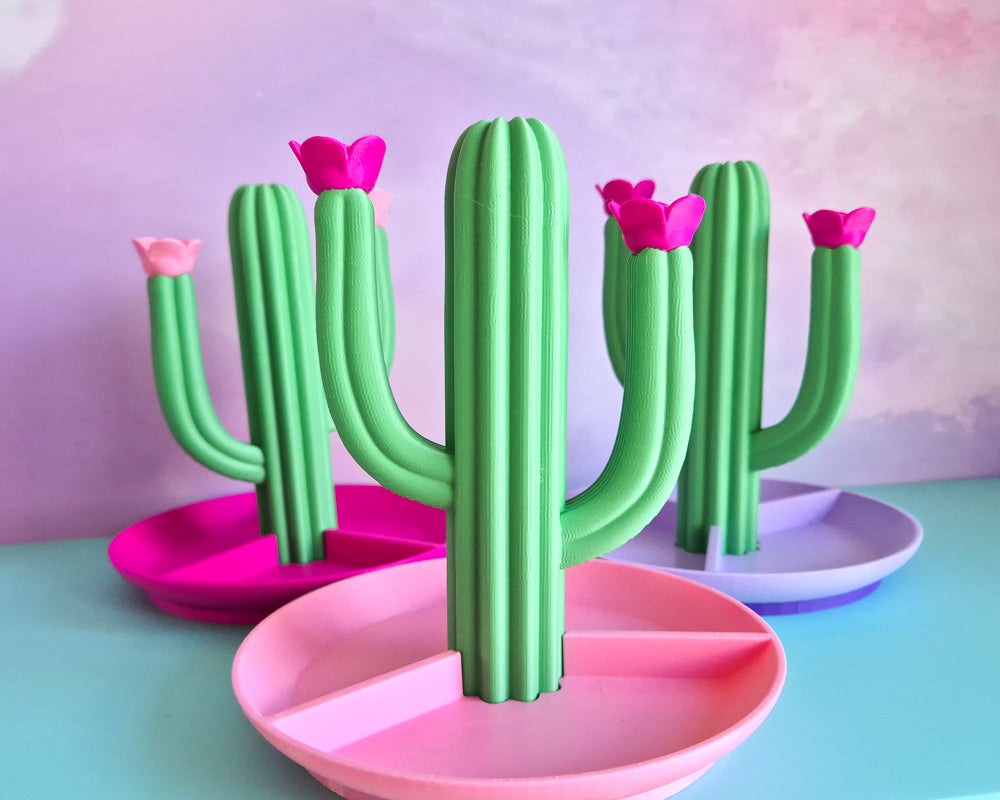 Cactus Dish